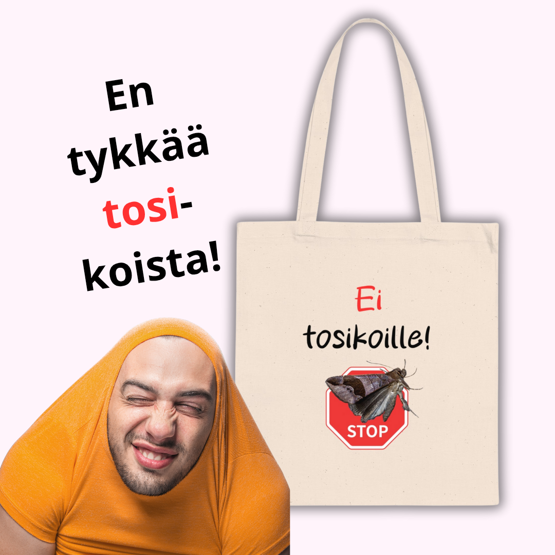 Kangaskassi 