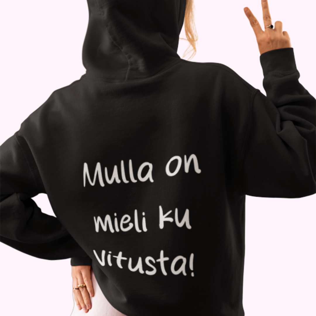 Huppari "Mulla on mieli ku vitusta"