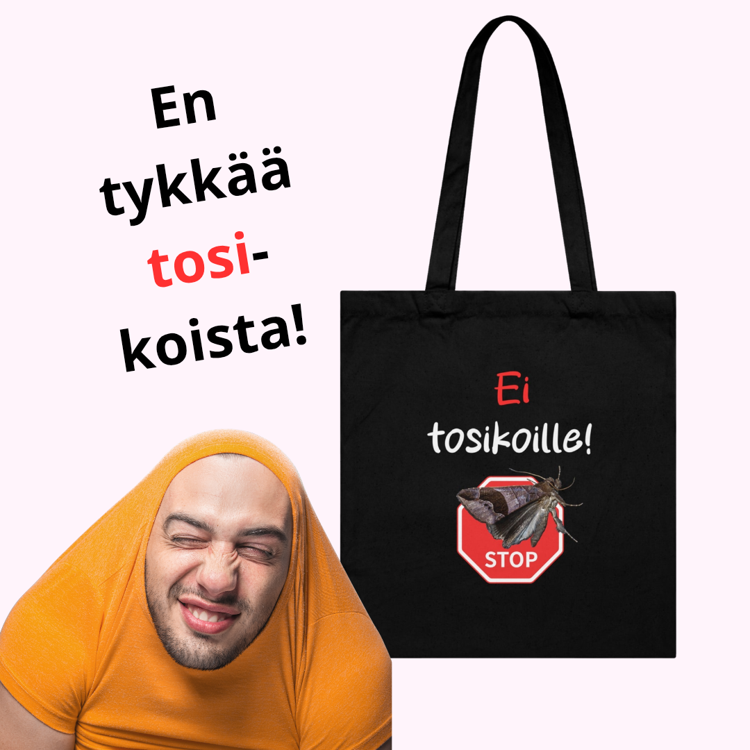 Kangaskassi 